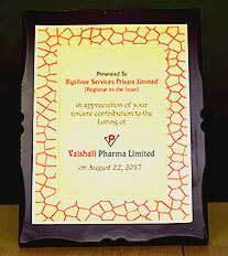 Vaishali Pharma Ltd